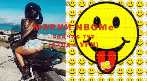 хмурый Новозыбков