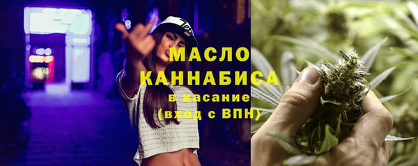 хмурый Новозыбков