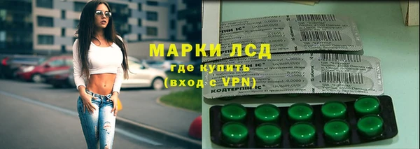 хмурый Новозыбков