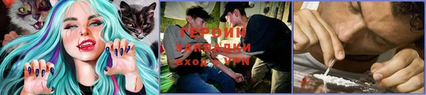 тгк Новокубанск