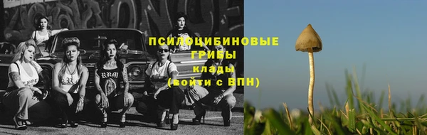 альфа пвп Новодвинск