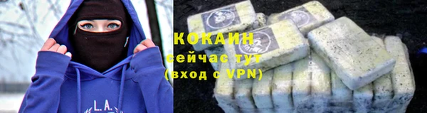 альфа пвп Новодвинск