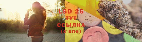 молекула духа Вуктыл