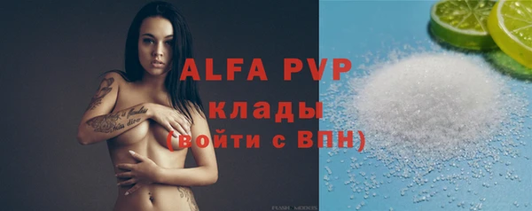 альфа пвп Новодвинск