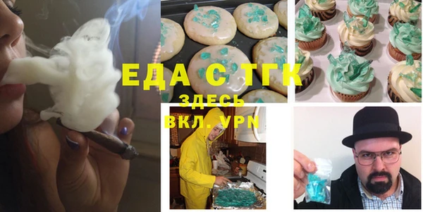 хмурый Новозыбков