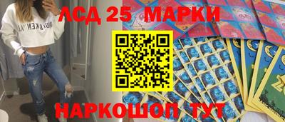Альфа ПВП Гатчина