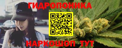 Альфа ПВП Гатчина
