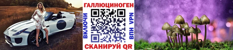 ОМГ ОМГ рабочий сайт  площадка клад  Чебоксары  Галлюциногенные грибы прущие грибы  наркотики 