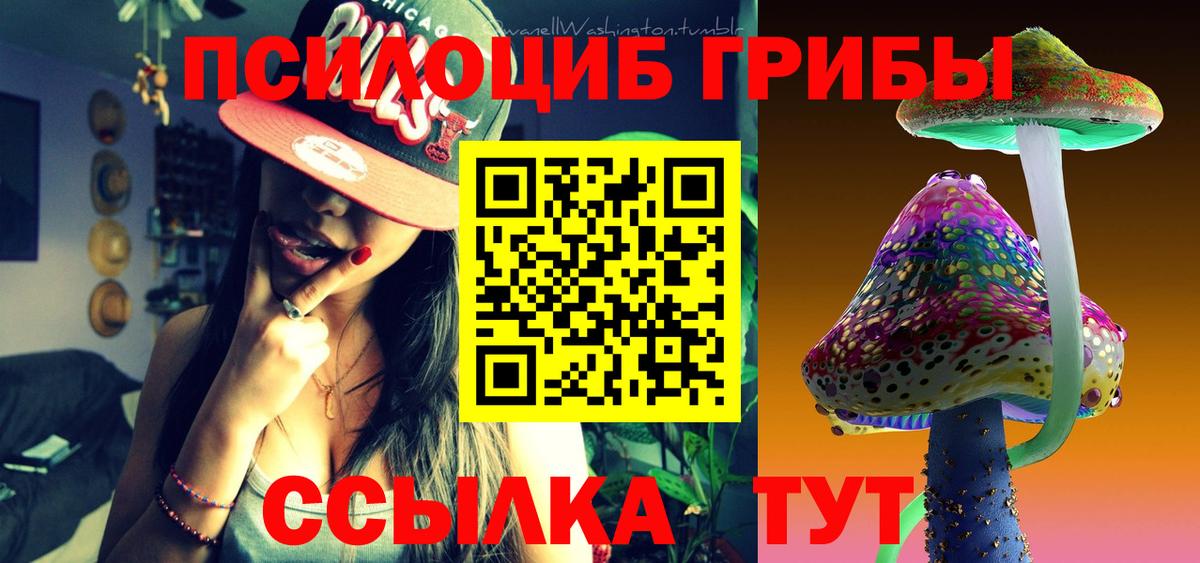 Галлюциногенные грибы мухоморы  наркота  Чебоксары  Галлюциногенные грибы MAGIC MUSHROOMS 