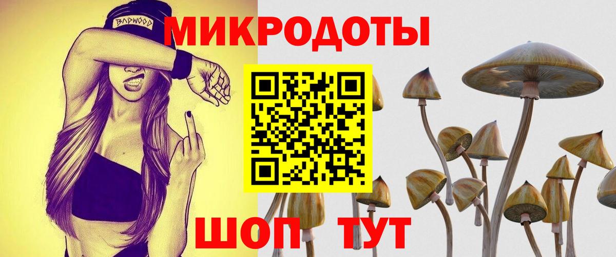Псилоцибиновые грибы Magic Shrooms Чебоксары