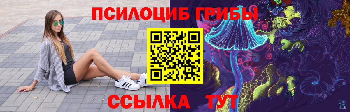 Псилоцибиновые грибы Psilocybine cubensis Чебоксары